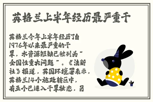 51成品网站W灬源码