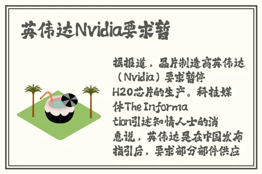 姐姐的美白蚌埠